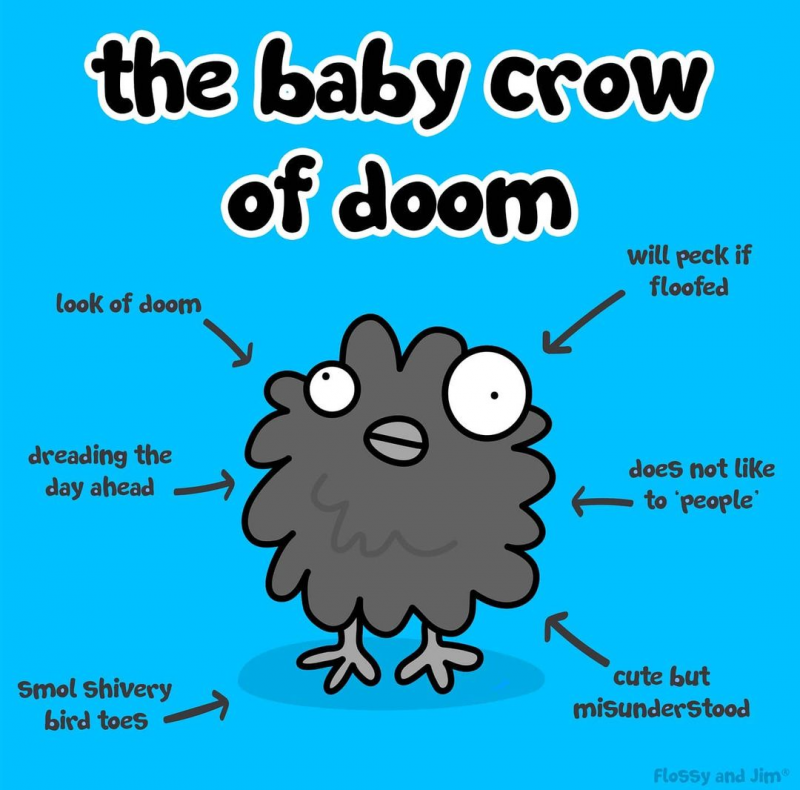 The baby crow of doom