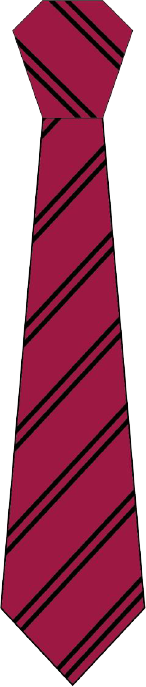 Year 8 maroon tie with double black stripe